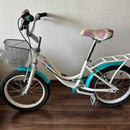 Bicicleta BIANCHI